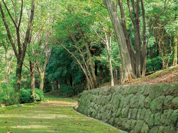 Surrounding environment. Kaidorikita park (about 800m from local ・ A 10-minute walk)