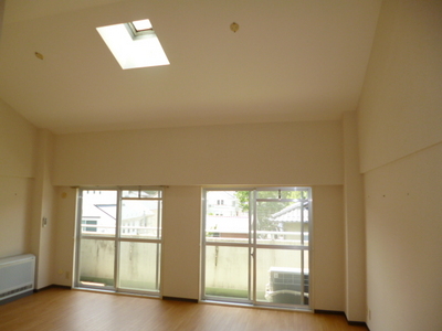 Other room space. There are skylights