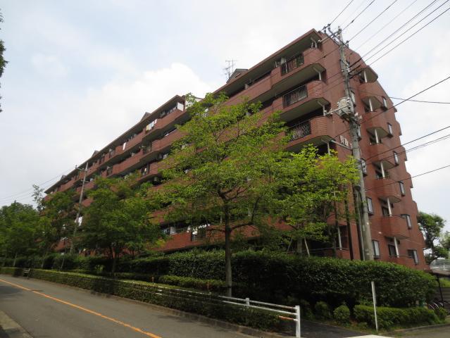 Local appearance photo. Local (July 2013) Shooting