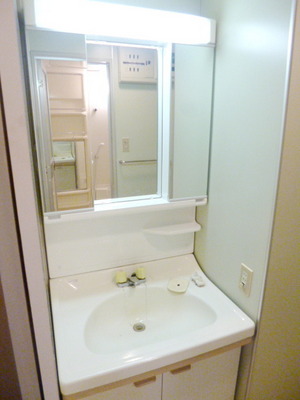 Washroom. Independent wash basin of a large mirror