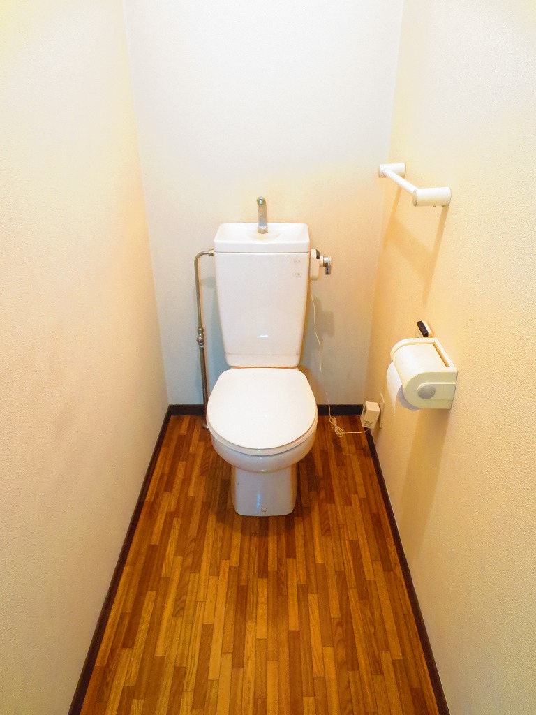 Toilet. It is spacious calm room