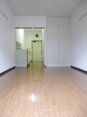 Living and room. Popular flooring Pikkapika