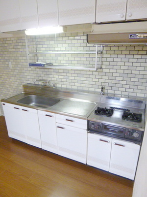 Kitchen. Two-burner gas system Kitchen