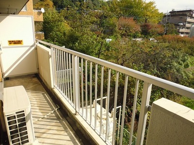 Balcony. Balconies