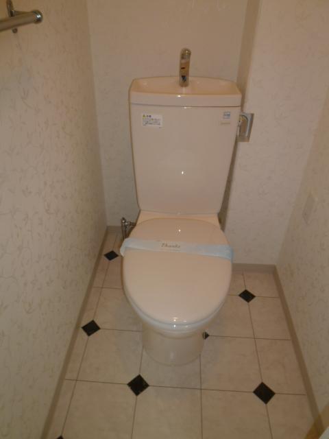 Toilet. Indoor (March 2013) Shooting