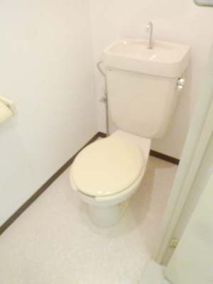 Toilet. Toilet