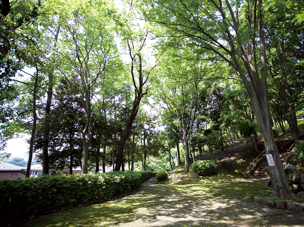 Surrounding environment. Toyokeokakita park (6-minute walk / About 460m)