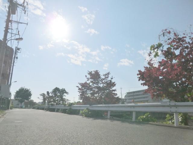 Local photos, including front road. It is a quiet residential area