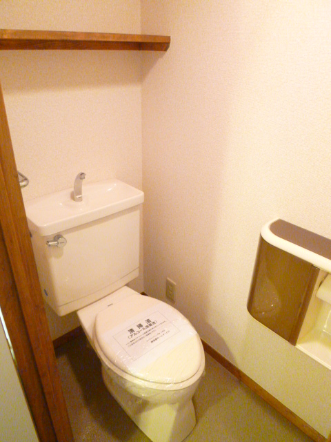 Toilet. It is cleaned toilets. Also it comes with a shelf