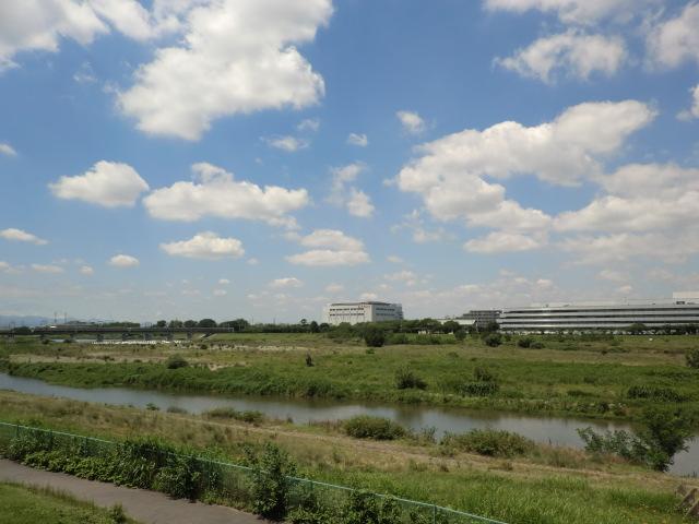 Other. Walk from Tamagawa river 3 minutes, Cycling and jogging, It is ideal for a walk course