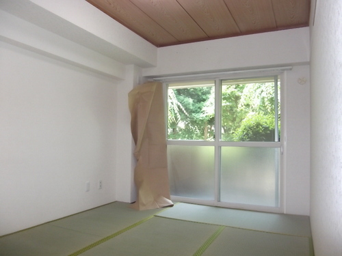 Living and room. Japanese style room