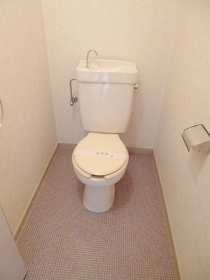 Toilet. Toilet