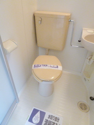 Toilet. Toilet