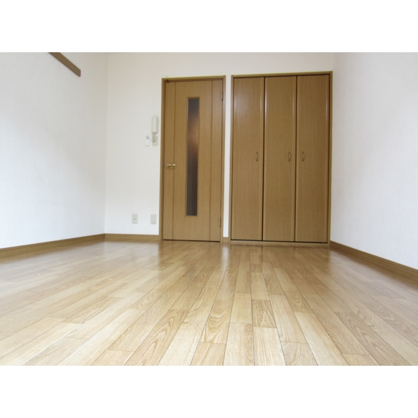 Living and room. Storage of door is also a soft impression Natural Brown.