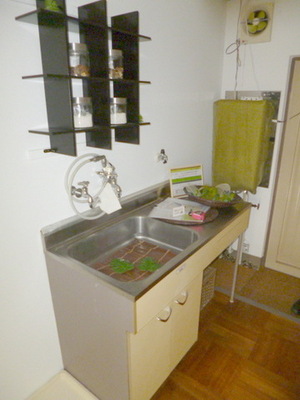 Kitchen. model room