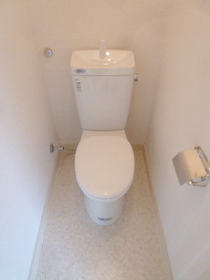 Toilet. Toilet