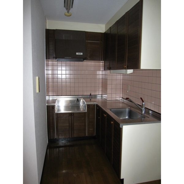 Kitchen. Gas stove installation type of kitchen.