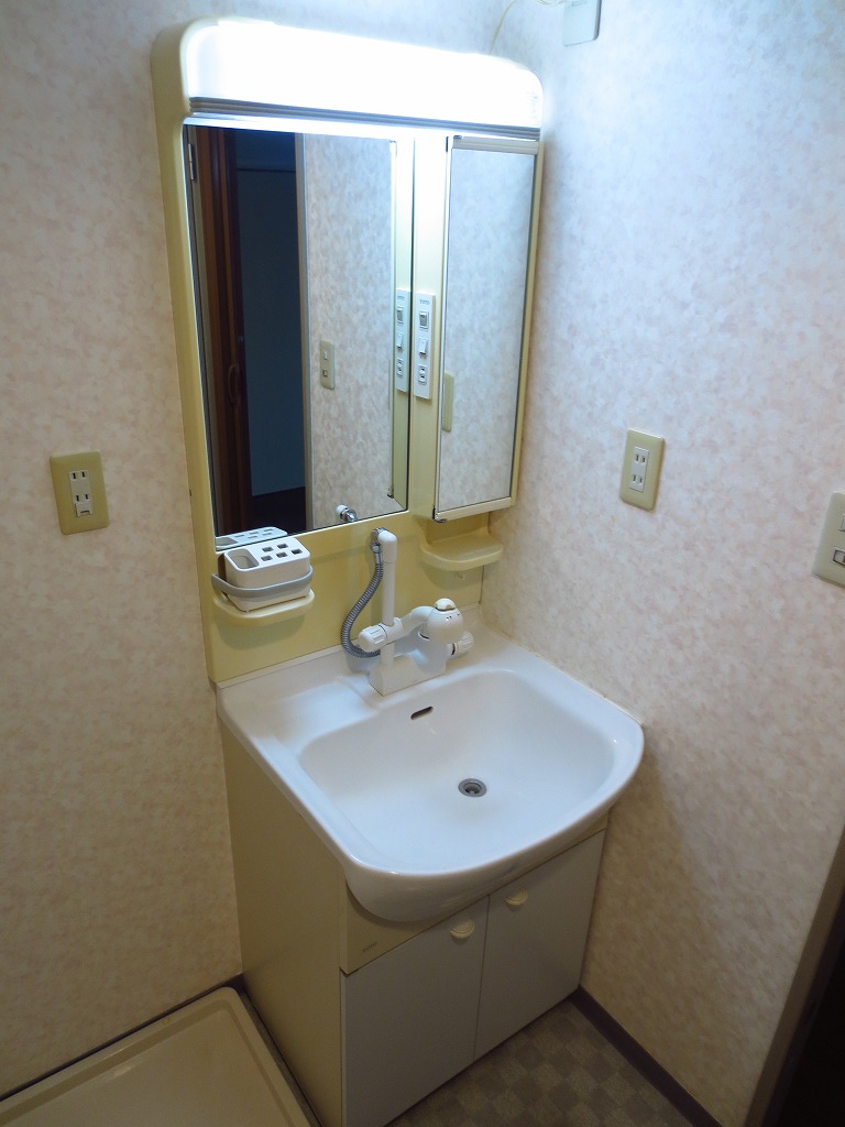 Washroom. Bedhead vanity with one shot eliminate shower