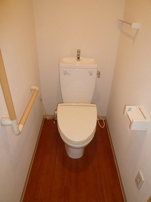 Toilet. Toilet