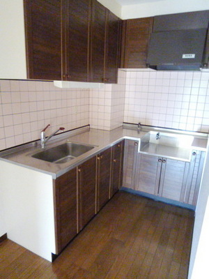 Kitchen. Easy-to-use L-shaped kitchen