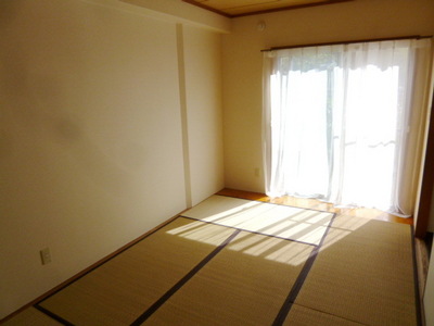 Other room space. A serene Japanese-style