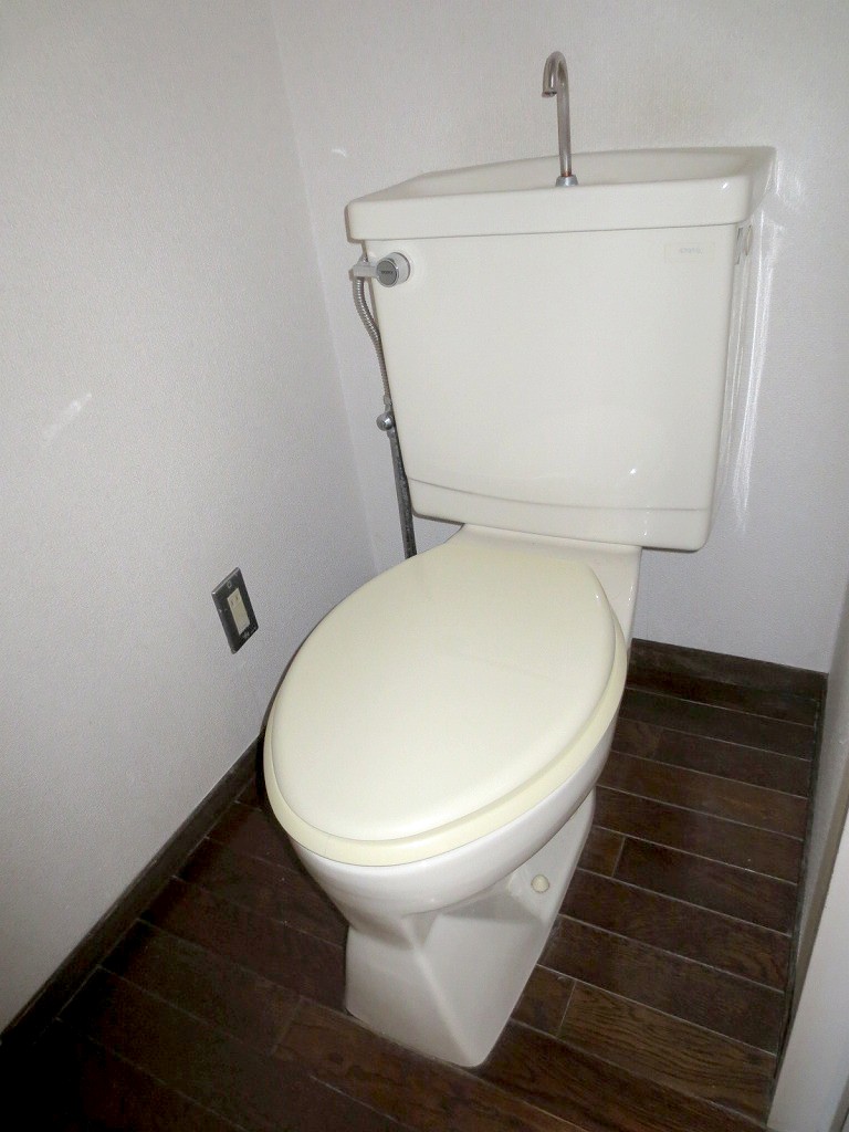 Toilet. Cleaning is a toilet seat can be installed