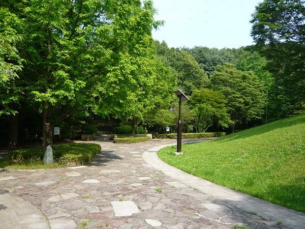 park. Is the "Metropolitan Sakuragaoka park" very beautiful park full of green. There is also a playground equipment facility.