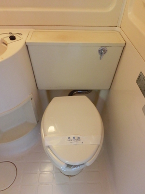 Toilet. Western-style toilet