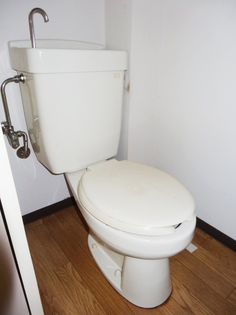 Toilet. Toilet