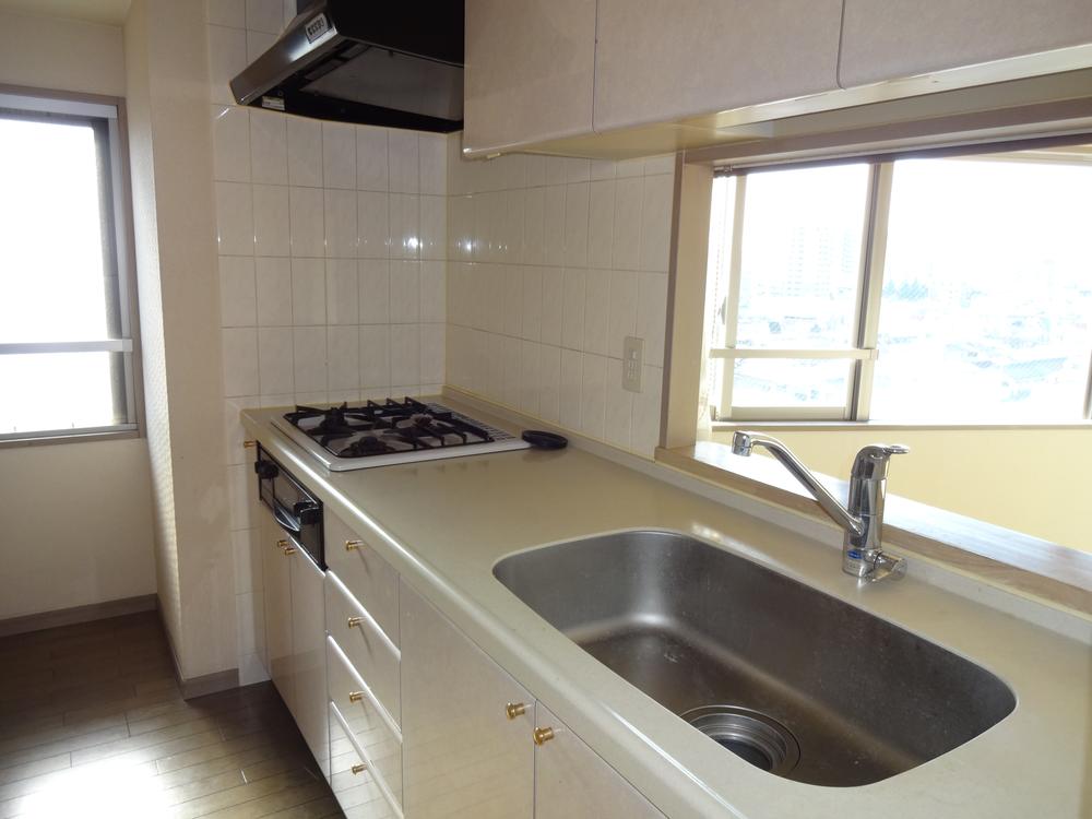 Kitchen. Indoor (11 May 2013) Shooting