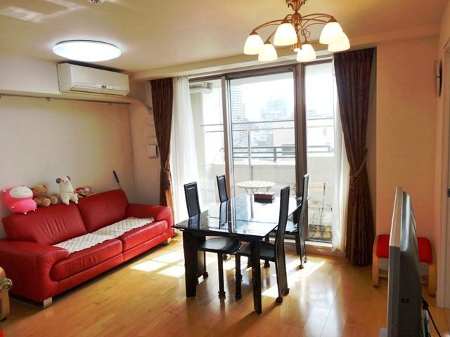 Living. Indoor (June 2013) Shooting