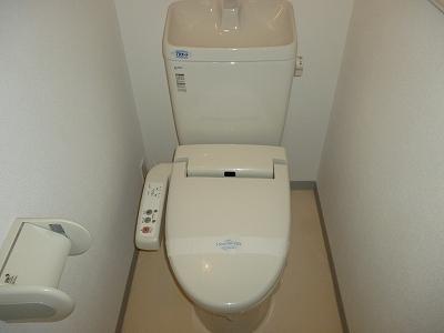 Toilet. Washlet toilet