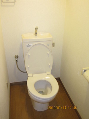 Toilet. Toilet