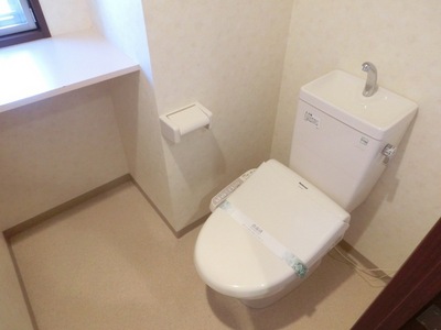 Toilet. Spacious window with a toilet