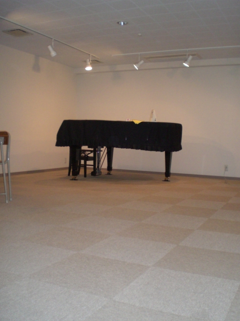 Other common areas. Grand piano equipped in the basement studio! 