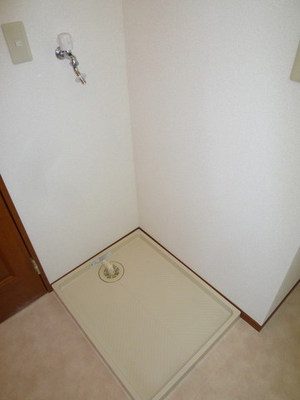 Washroom. Indoor Laundry Storage