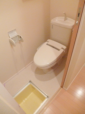 Toilet. Toilet with a bidet in the underfloor storage