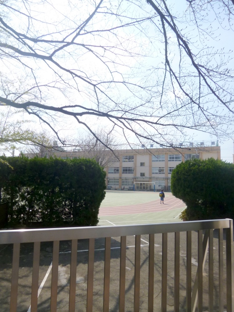 Primary school. 198m to the main elementary school (elementary school)