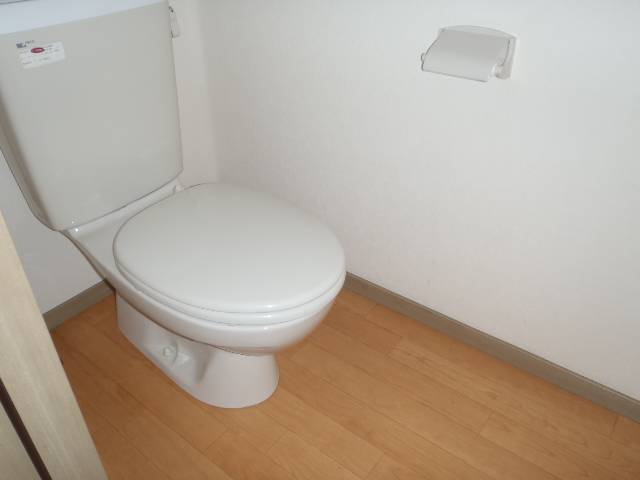 Toilet. Western-style toilet