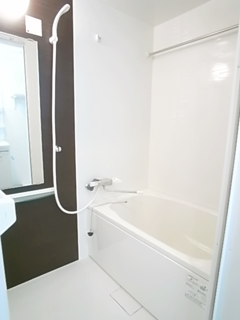 Bath. It is with a bathroom ventilation dryer. Impression accent panel is chic.