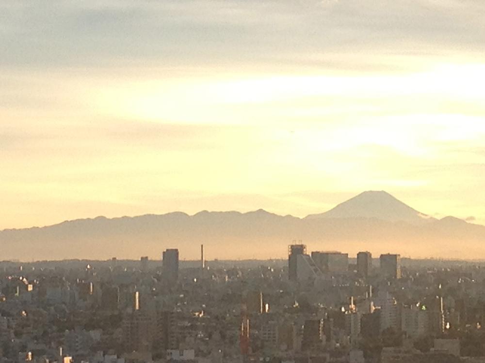 View photos from the dwelling unit. View from local