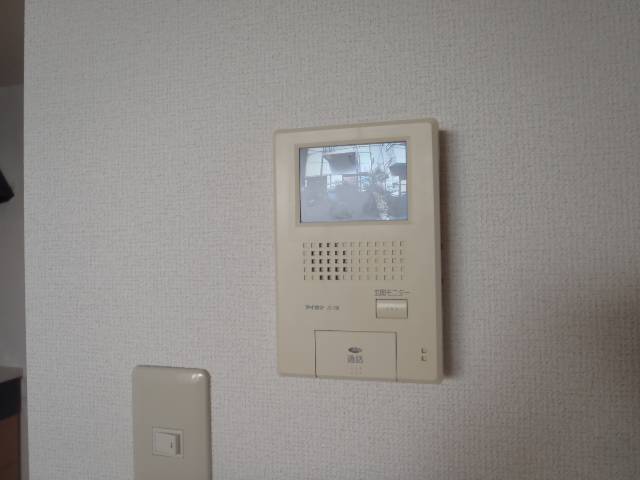 Security. TV monitor phone