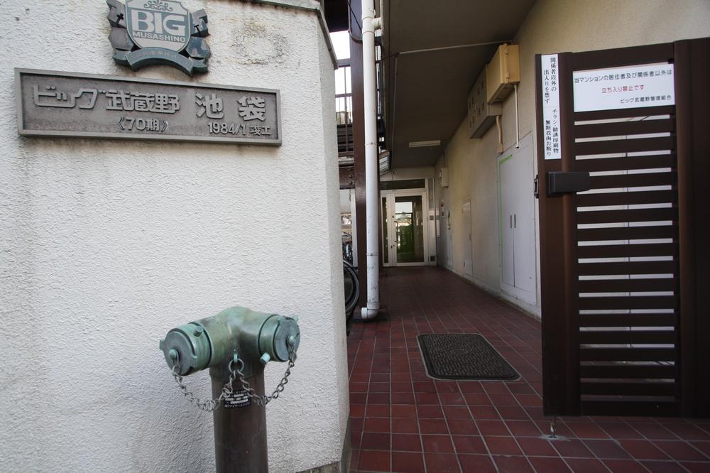 Local appearance photo. Local (11 May 2013) Shooting