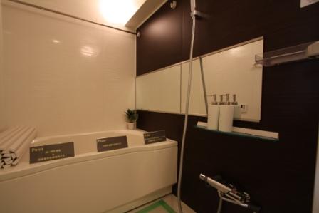 Bathroom. Indoor (11 May 2013) Shooting