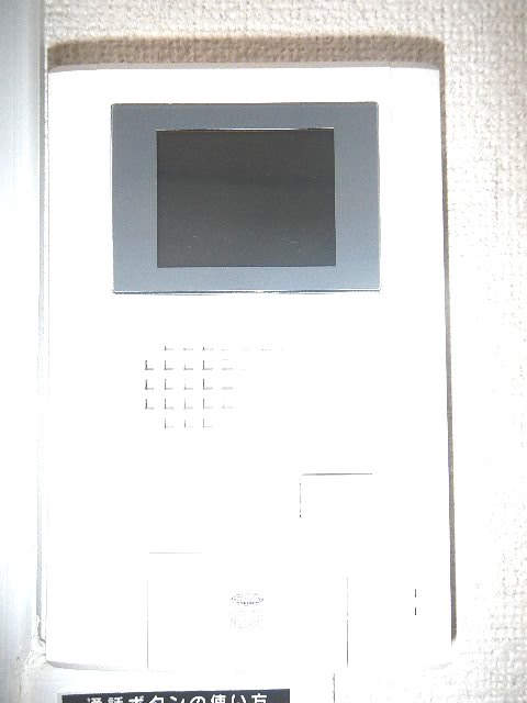 Security. TV monitor interphone