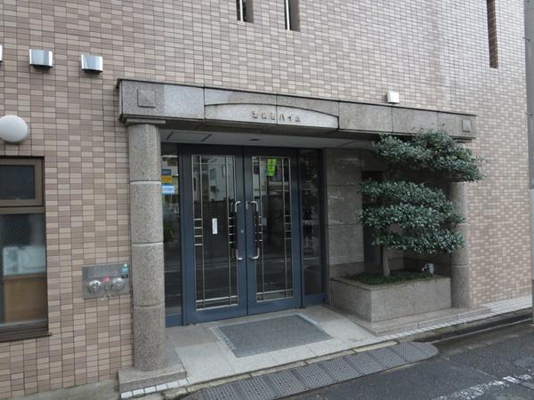 Entrance. Mansion entrance before