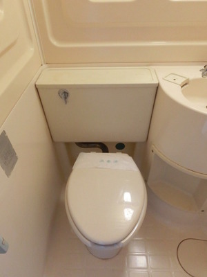 Toilet. Western-style toilet