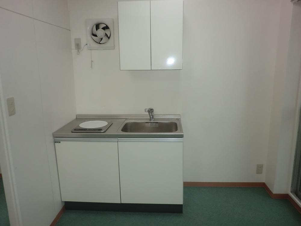 Kitchen. Indoor (12 May 2013) Shooting