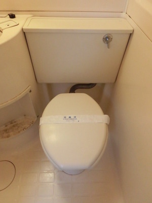 Toilet. Western-style toilet