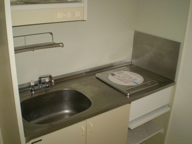 Kitchen. Kitchen with the IH heater!